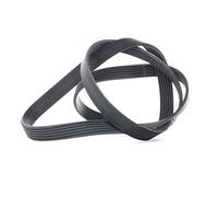 Correa poly V CONTINENTAL 6PK1564