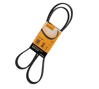 ContiTech 6PK1580 Correa