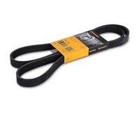 ContiTech 6PK1580 Correa