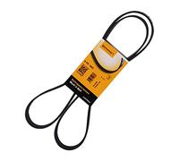 Correa poly V CONTINENTAL 6PK1642