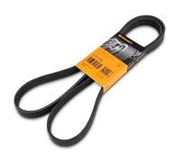 CONTITECH 6PK1698 Correa trapecial poli V