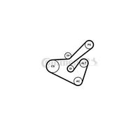 CONTITECH 6pk1725 K2 Kit correa Multi V Continental