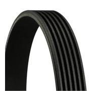 ContiTech 6PK1743