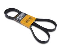 CONTITECH 6PK1750 CORREA