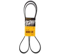 CONTITECH 6PK1767 Correa trapecial poli V Correa Poly V Correa poli V Correa de accesorios