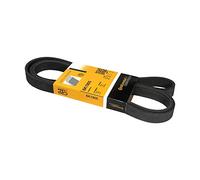 CONTITECH 6PK1905 Correa trapecial poli V