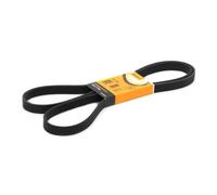 CONTITECH 6PK1990 Correa