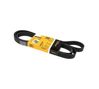 CONTITECH 6PK2020 Correa trapecial poli V
