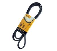 CONTITECH 6PK2100 Correa