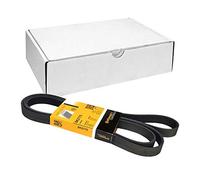 CONTITECH 6PK2175 Correa