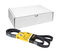 CONTITECH 6PK2205 Correa trapecial poli V