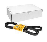 CONTITECH 6PK2445 Correa trapecial poli V Correa Poly V Correa poli V Correa de accesorios