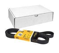 Contitech - 6PK2475 correa trapecial en V múltiple