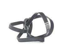 CONTITECH 6PK2490 Correa