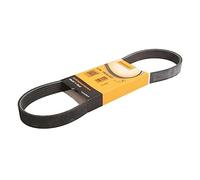 Correa poly V CONTINENTAL 6PK799 ELAST