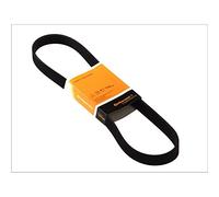 Contitech - 6pk831elastt1 correa de distribución