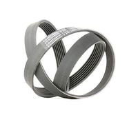 CONTITECH 7PK1290 Correa trapecial poli V Correa Poly V Correa poli V Correa de accesorios