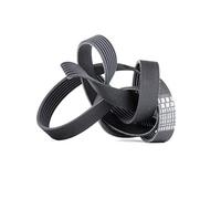 CONTITECH 7PK1785 Correa trapecial poli V