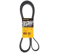 CONTITECH 7PK2418 Correa