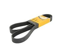 CONTITECH 8PK1500 Correa trapecial poli V