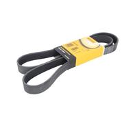 Correa poly V CONTINENTAL 8PK1550