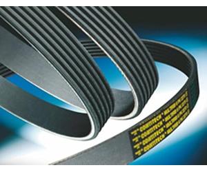 CONTITECH 8PK1840 Correa trapecial poli V