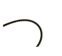 Correa poly V CONTINENTAL AVX10X1225