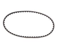 ContiTech Correa poly V AVX10X600 nervada para Citroën, Volkswagen, Suzuki, Renault