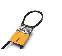 Correa poly V CONTINENTAL AVX10X740