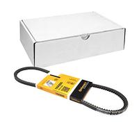 ContiTech Correa trapezoidal nervada AVX10X800 para OPEL y SEAT