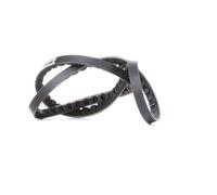 CONTITECH AVX10X888 Correa trapezoidal