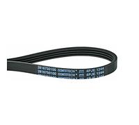 Contitech - Correa secadora 4PJE 1244 (2816750100)