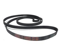 CONTITECH - Correa de secadora 7PH 1965 (144003064)