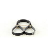 CONTITECH Correa trapezoidal nervada para FIAT: Palio, Tipo, Siena, Albea, 500, Strada & TOYOTA: RAV4, Corolla, Yaris Verso, Yaris (Ref: 5PK1190)