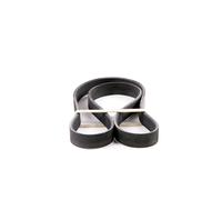 CONTITECH Correa trapezoidal nervada para FIAT: Punto, Ducato, 500, Panda, Doblo, Linea, Strada, Qubo, Fiorino, Idea & BMW: Série 7, M3 (Ref: 6PK1180)