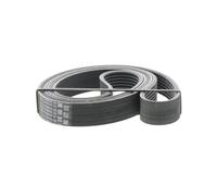 CONTITECH 7PK1770 Correa