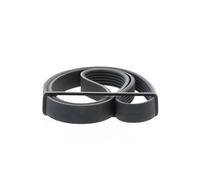 Correa poly V CONTINENTAL 6PK1105