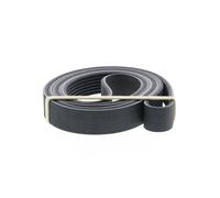 CONTITECH Correa trapezoidal nervada para MERCEDES-BENZ: Classe E & RENAULT: Mégane, Scénic, Espace, Laguna, Latitude, Koleos (Ref: 7PK1705)