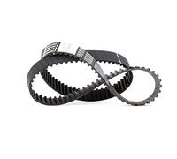 CONTITECH CT1184 Correa