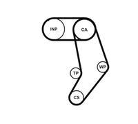 Contitech - ct939 K 9pro correa dentada
