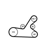 CONTITECH Juego de correas trapeciales poli V 6PK1145K4 incl. polea de inversión incl. rodillo tensor Compatible con PEUGEOT 307 3A/C 307 SW 3H 307 Break 3E