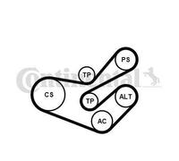 CONTITECH Juego de correas trapeciales poli V 6PK1750K3 incl. rodillo tensor incl. polea de inversión Compatible con CITROËN Berlingo/Berlingo First I MF, GJK, GFK, PEUGEOT 406 8B 406 Break 8E/F
