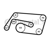CONTITECH Juego de correas trapeciales poli V 6PK2260K2 incl. rodillo tensor incl. polea de inversión Compatible con MERCEDES-BENZ Clase C Sedán W203 Clase C T-modell S203 Clase S Sedán W220 CLK C209