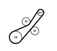 CONTITECH Juego de correas trapeciales poli V 6PK800K1 incl. rodillo tensor incl. polea de inversión
