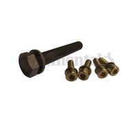 CONTITECH Kit tornillos, cigüeñal polea para AUDI: A6 (Ref: MS10)