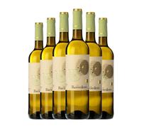 Contreras Ruiz Viña Barredero Blanco Zalema Condado de Huelva 75 cl Vino blanco (Caja de 6 Botellas de 75 cl)