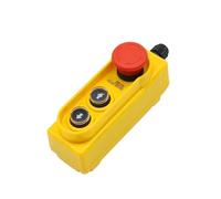 Control remoto de grúa inalámbrica, Caja de botón de elevación a prueba de lluvia, interruptor de botón de parada de emergencia, interruptor de polipasto eléctrico de Control directo de 2,2 kW, 250