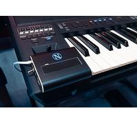 Controlador de cinta MIDI Nalbantov MidiRIB compatible con Novation con interfaz MIDI (negro o plateado)