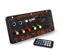 Controlador de DJ Placa amplificadora de MP3 600W 5,0, módulo amplificador de micrófono Dual de 12V y 24V, USB, TF, FM, música for coche, sonido de graves sin pérdidas for Subwoofer(D100 200W Amplifie