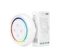 Controlador de tira de luz LED 2.4G con atenuación de temperatura de color RGBCW colorido y sincronización de control remoto(Single colorcolor temperature 12 24V12A)